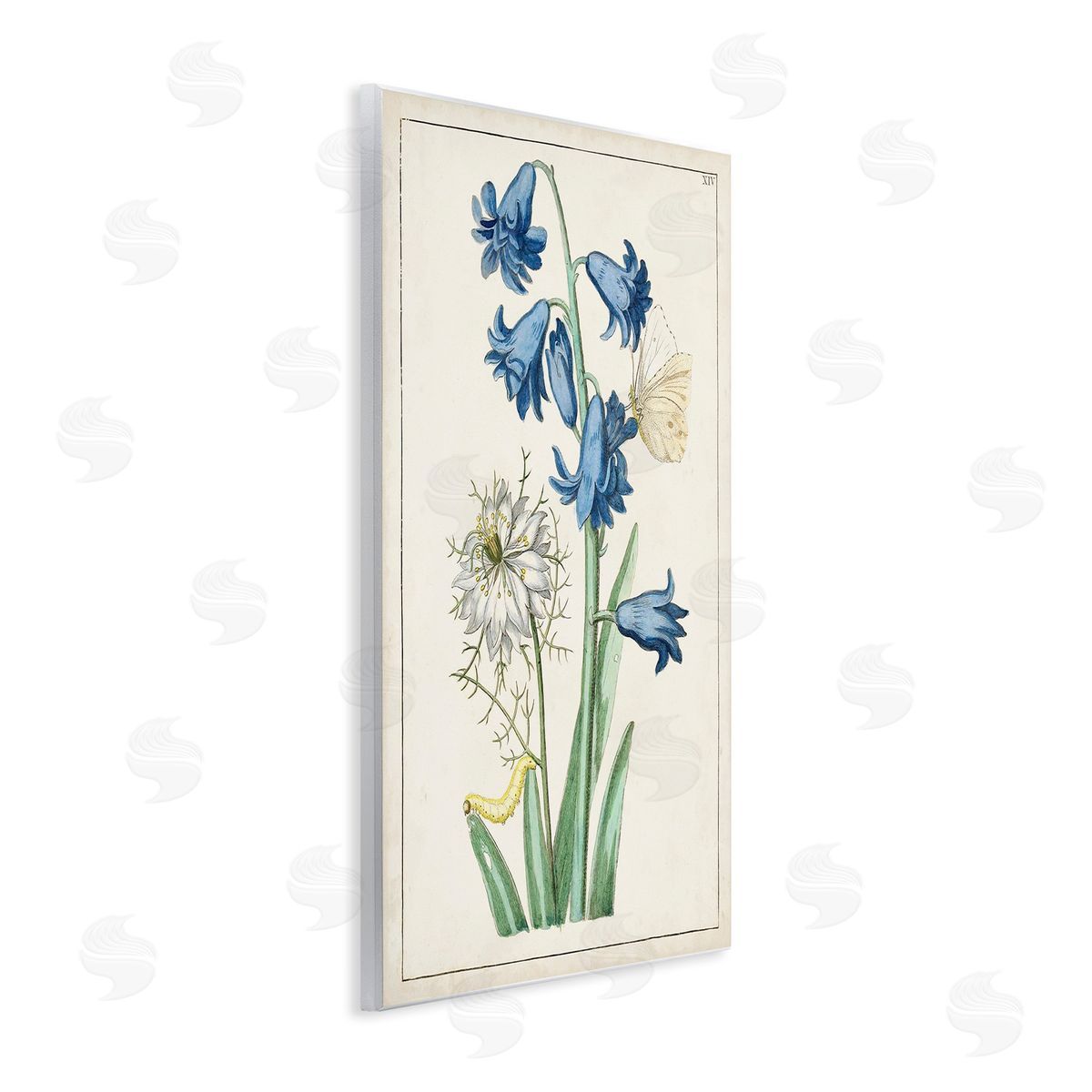 World Art Group Nature Bulbs with Moth Wooden Wall Plaque Art Print