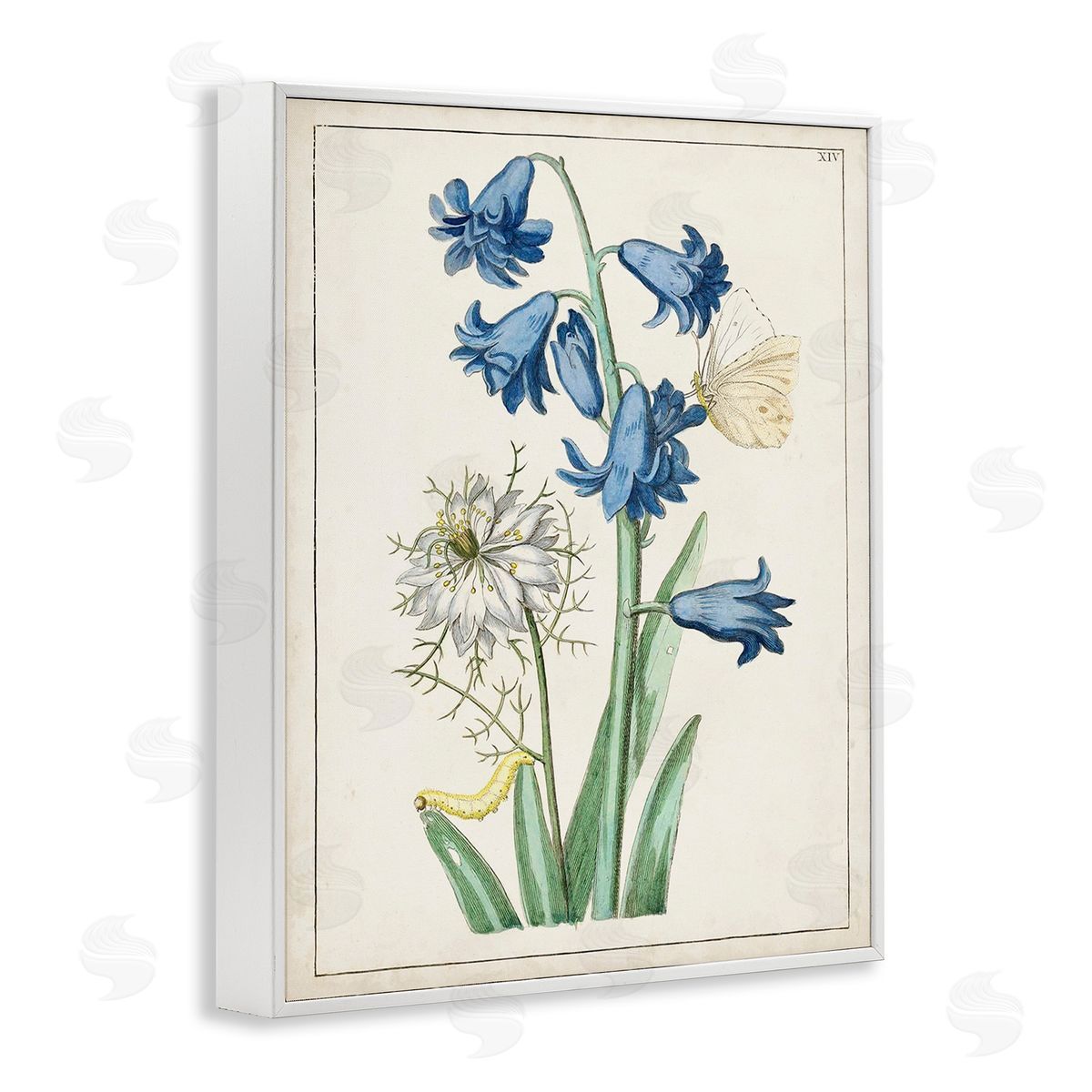 World Art Group Nature Bulbs with Moth White Framed Giclee Wall Art Print