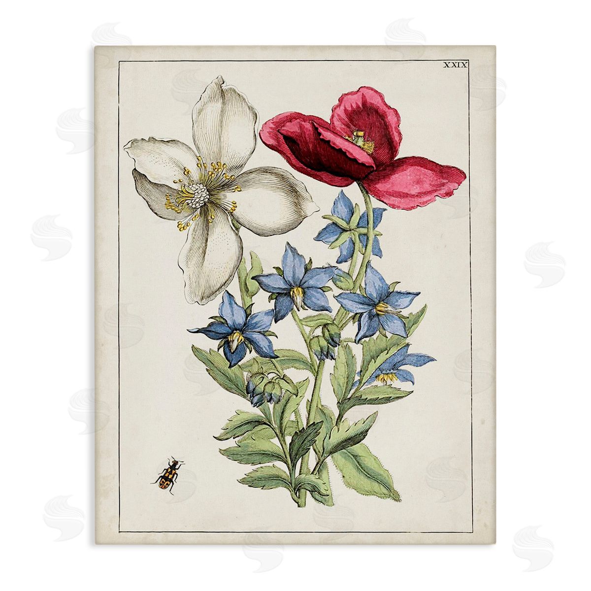 World Art Group Vintage Beetle & Flowers Canvas Wall Art Print
