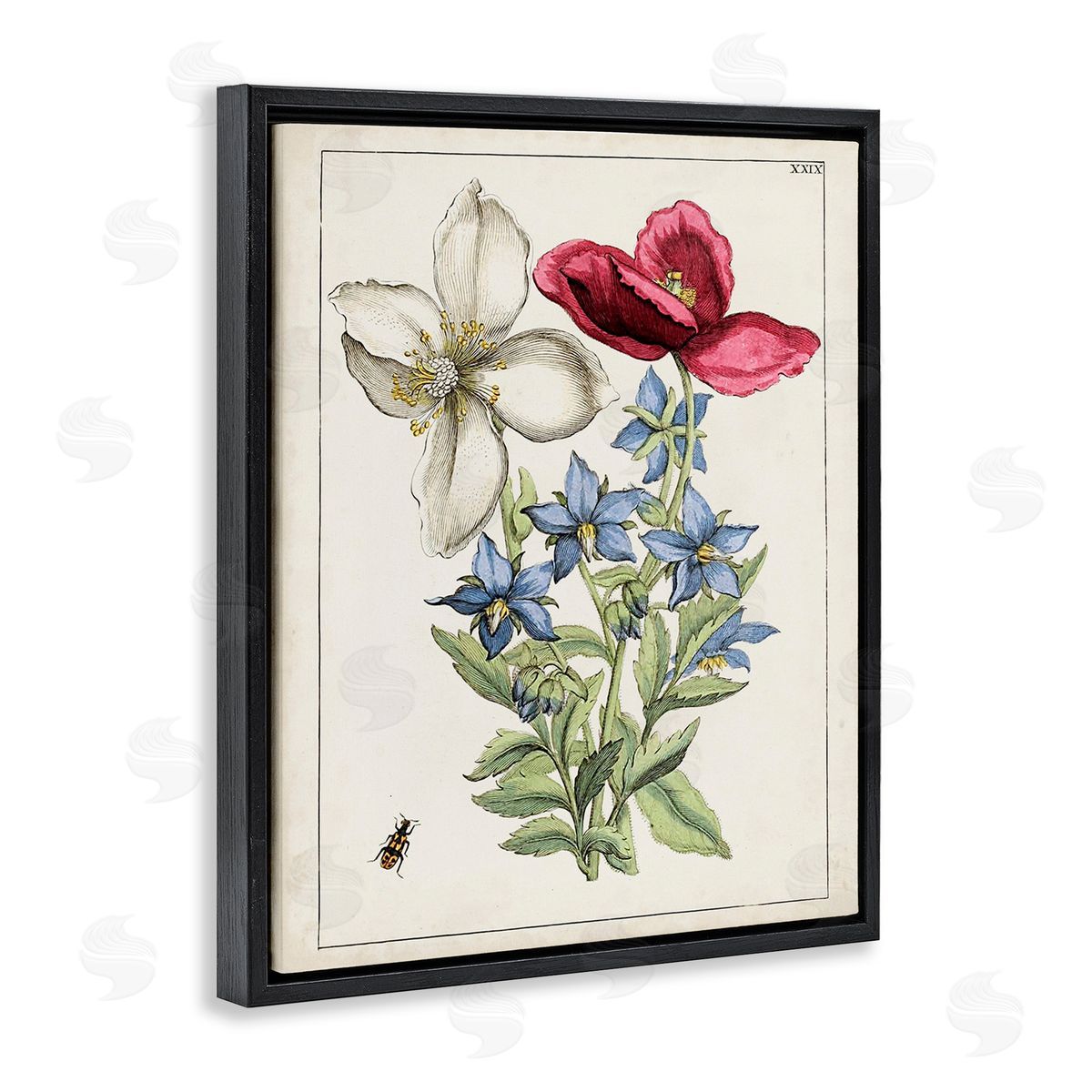 World Art Group Vintage Beetle & Flowers Black Floating Frame Canvas Wall Art Print