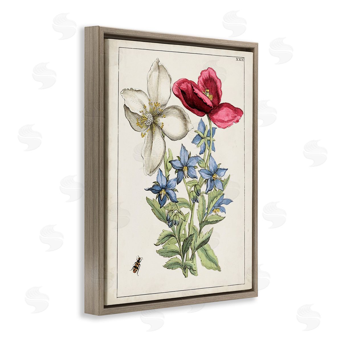 World Art Group Vintage Beetle & Flowers Brown Floating Frame Canvas Wall Art Print