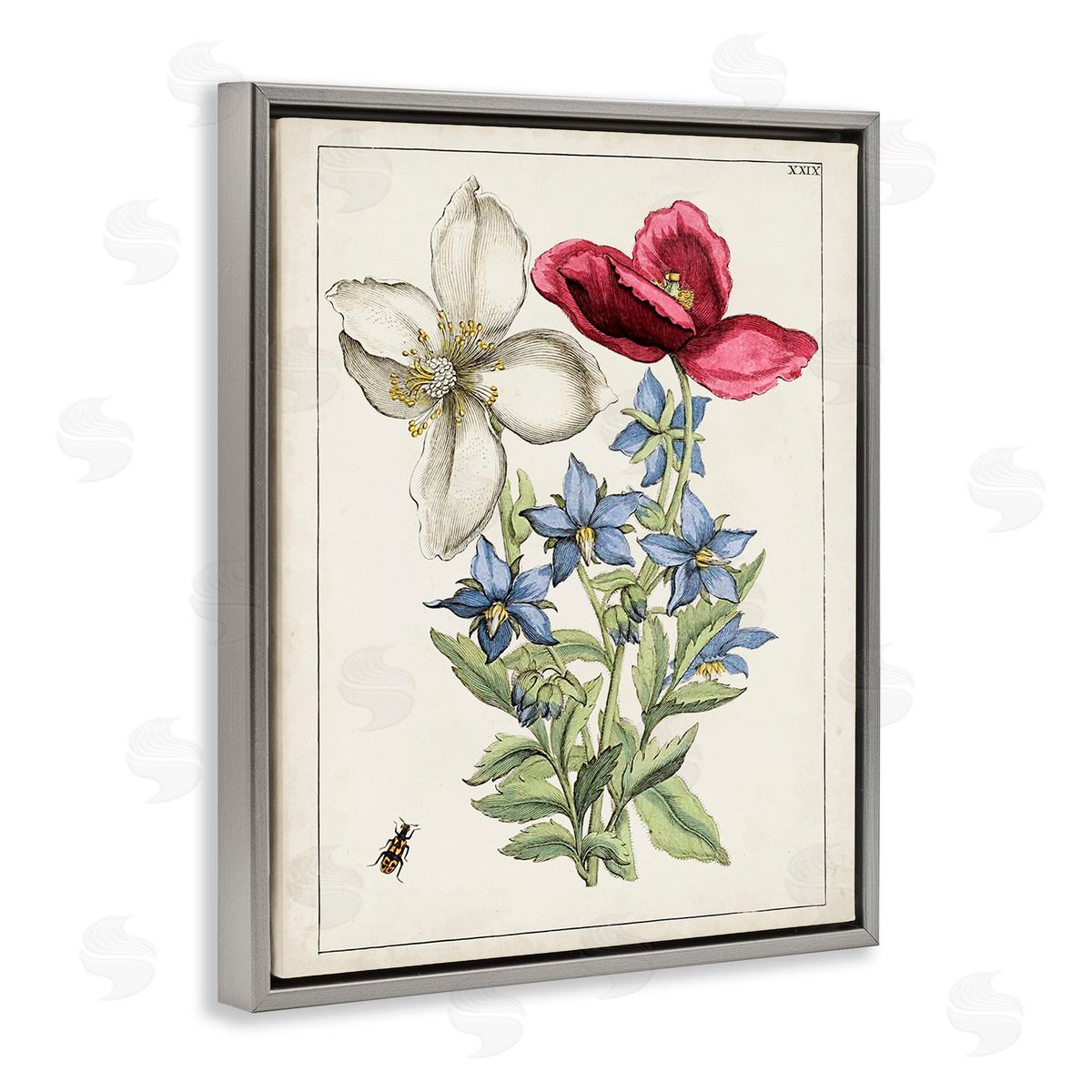 World Art Group Vintage Beetle & Flowers Gray Floating Frame Canvas Wall Art Print