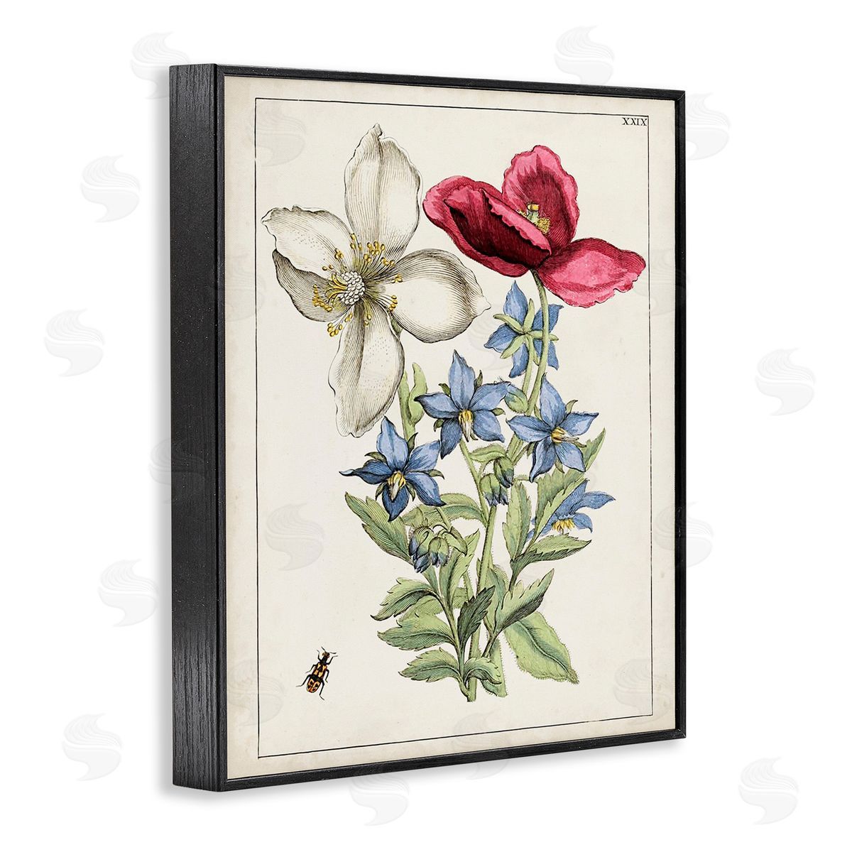 World Art Group Vintage Beetle & Flowers Black Framed Giclee Wall Art Print