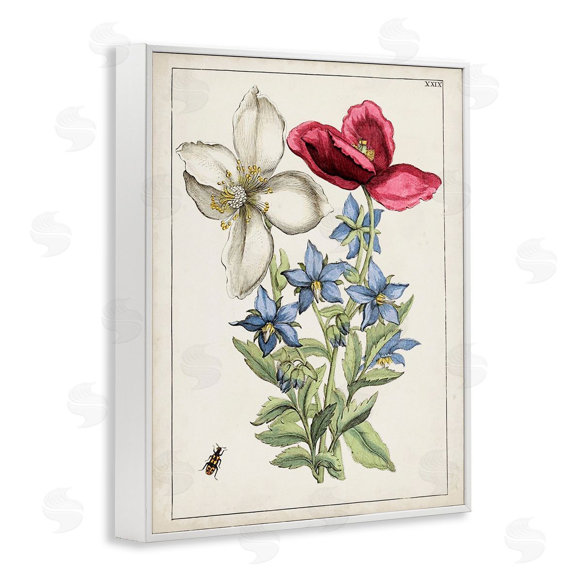 World Art Group Vintage Beetle & Flowers White Framed Giclee Wall Art Print