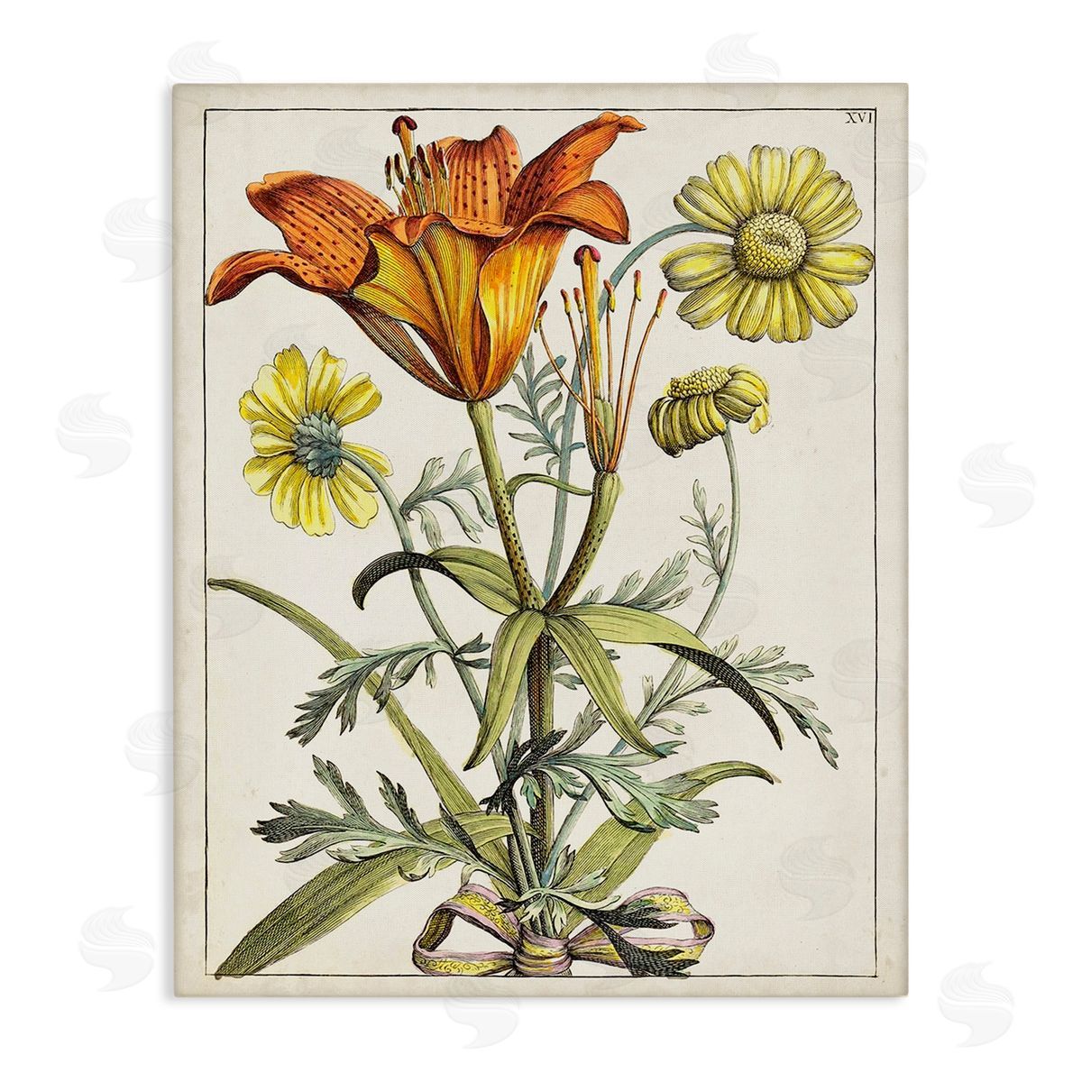 World Art Group Flowers Latin Study Canvas Wall Art Print