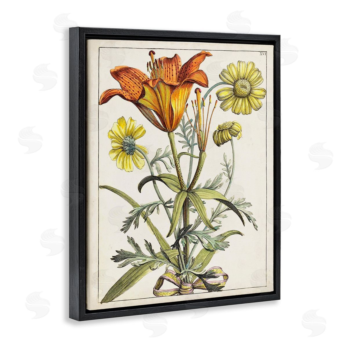 World Art Group Flowers Latin Study Black Floating Frame Canvas Wall Art Print