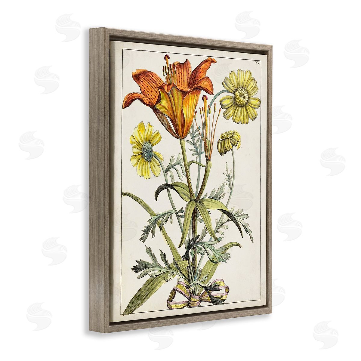 World Art Group Flowers Latin Study Brown Floating Frame Canvas Wall Art Print