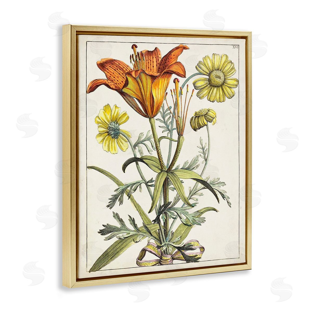 World Art Group Flowers Latin Study Gold Floating Frame Canvas Wall Art Print