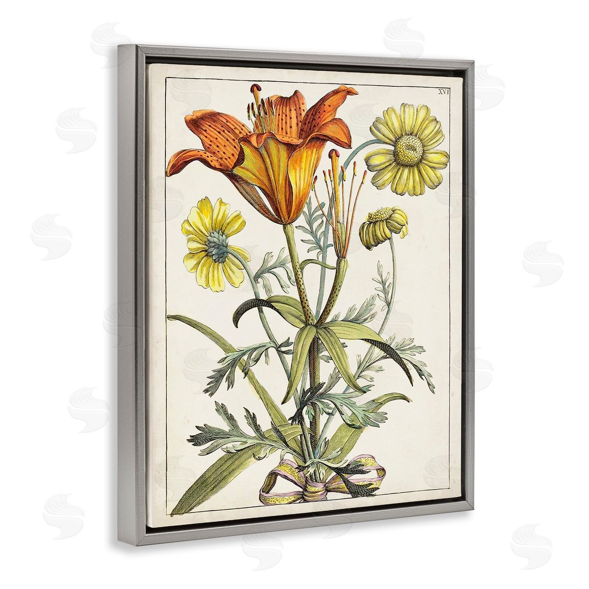 World Art Group Flowers Latin Study Gray Floating Frame Canvas Wall Art Print