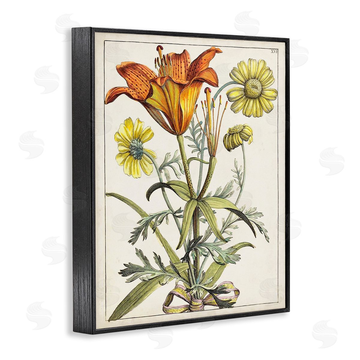 World Art Group Flowers Latin Study Black Framed Giclee Wall Art Print