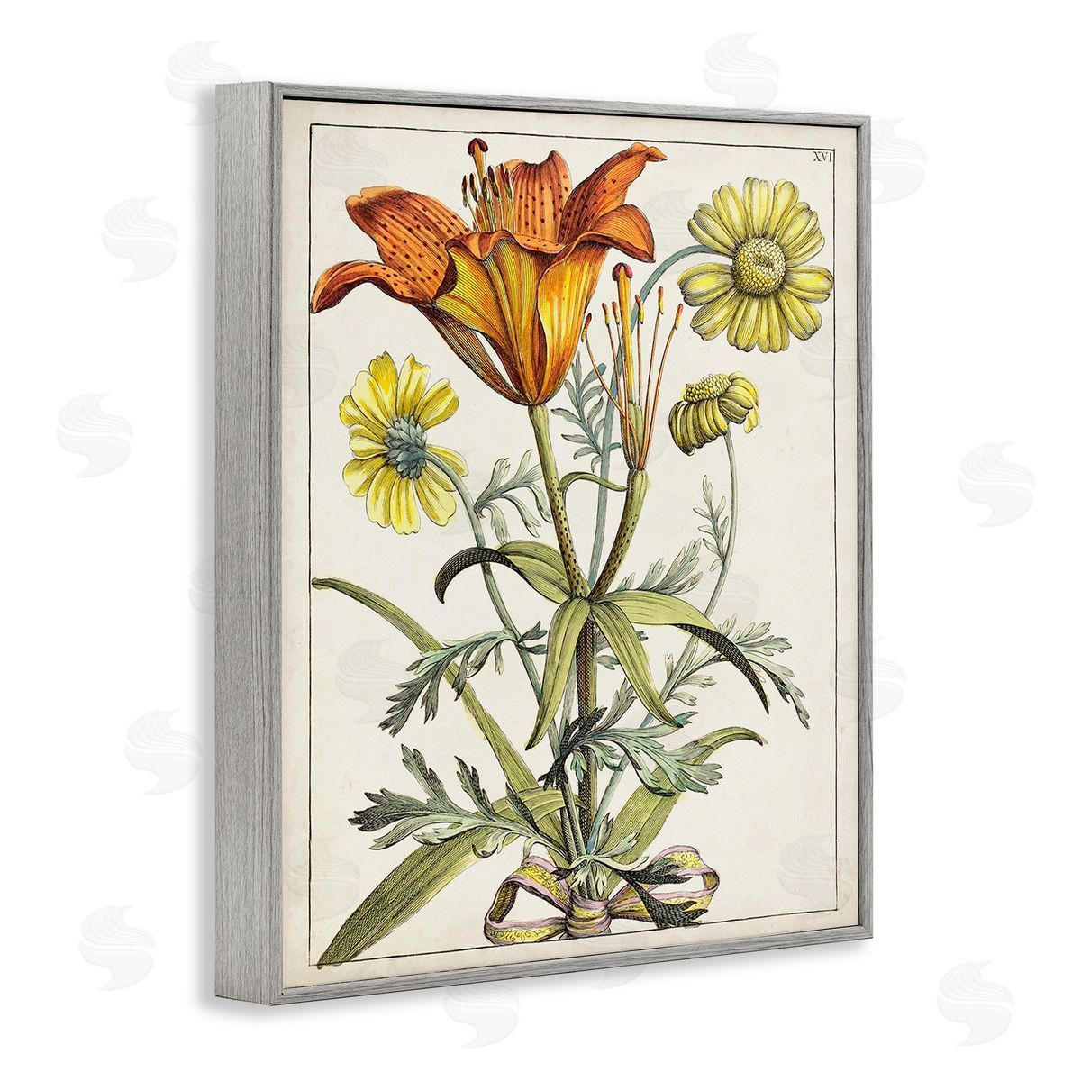 World Art Group Flowers Latin Study Gray Framed Giclee Wall Art Print