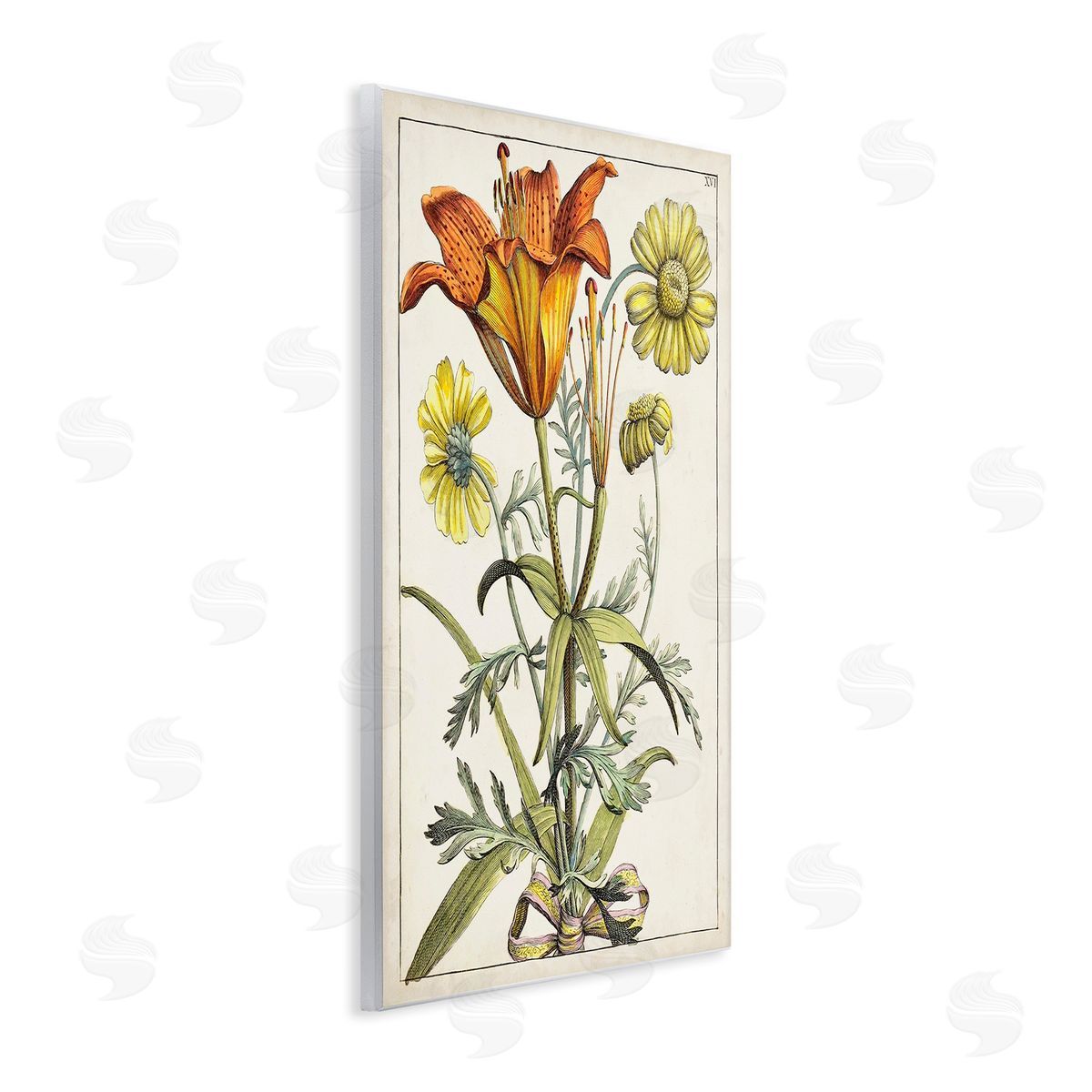 World Art Group Flowers Latin Study Wooden Wall Plaque Art Print