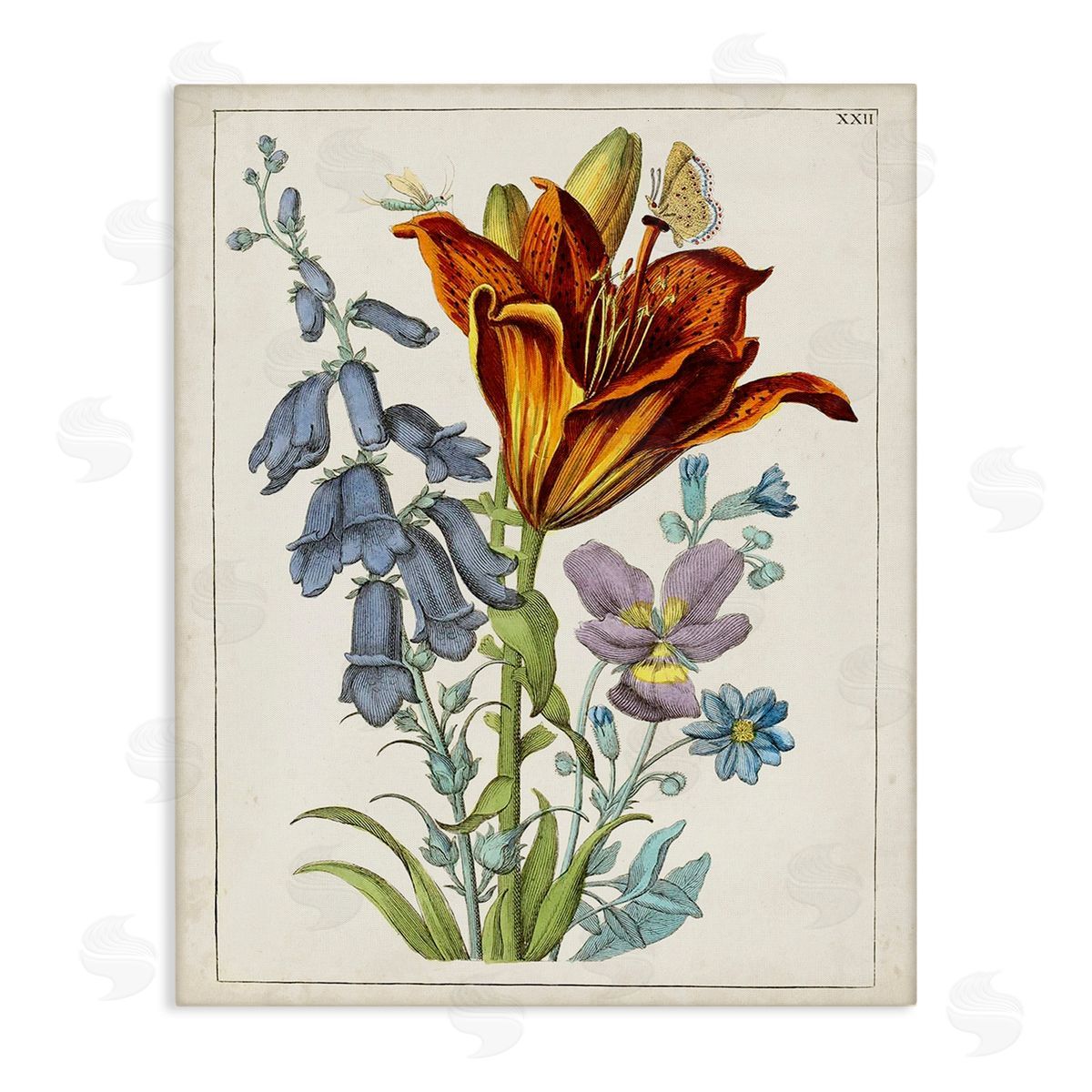 World Art Group Bugs & Vintage Flowers Canvas Wall Art Print