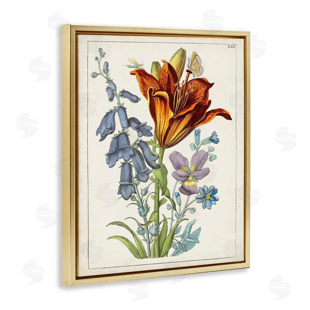 World Art Group Bugs & Vintage Flowers Gold Floating Frame Canvas Wall Art Print