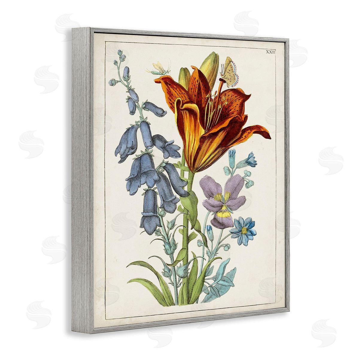 World Art Group Bugs & Vintage Flowers Gray Framed Giclee Wall Art Print