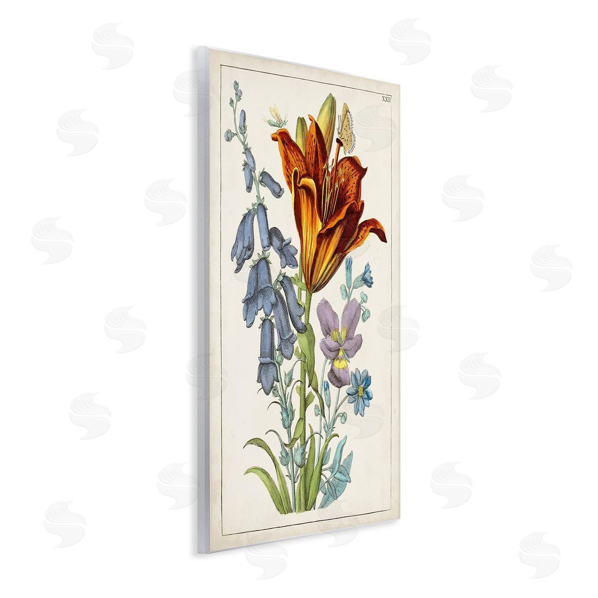 World Art Group Bugs & Vintage Flowers Wooden Wall Plaque Art Print