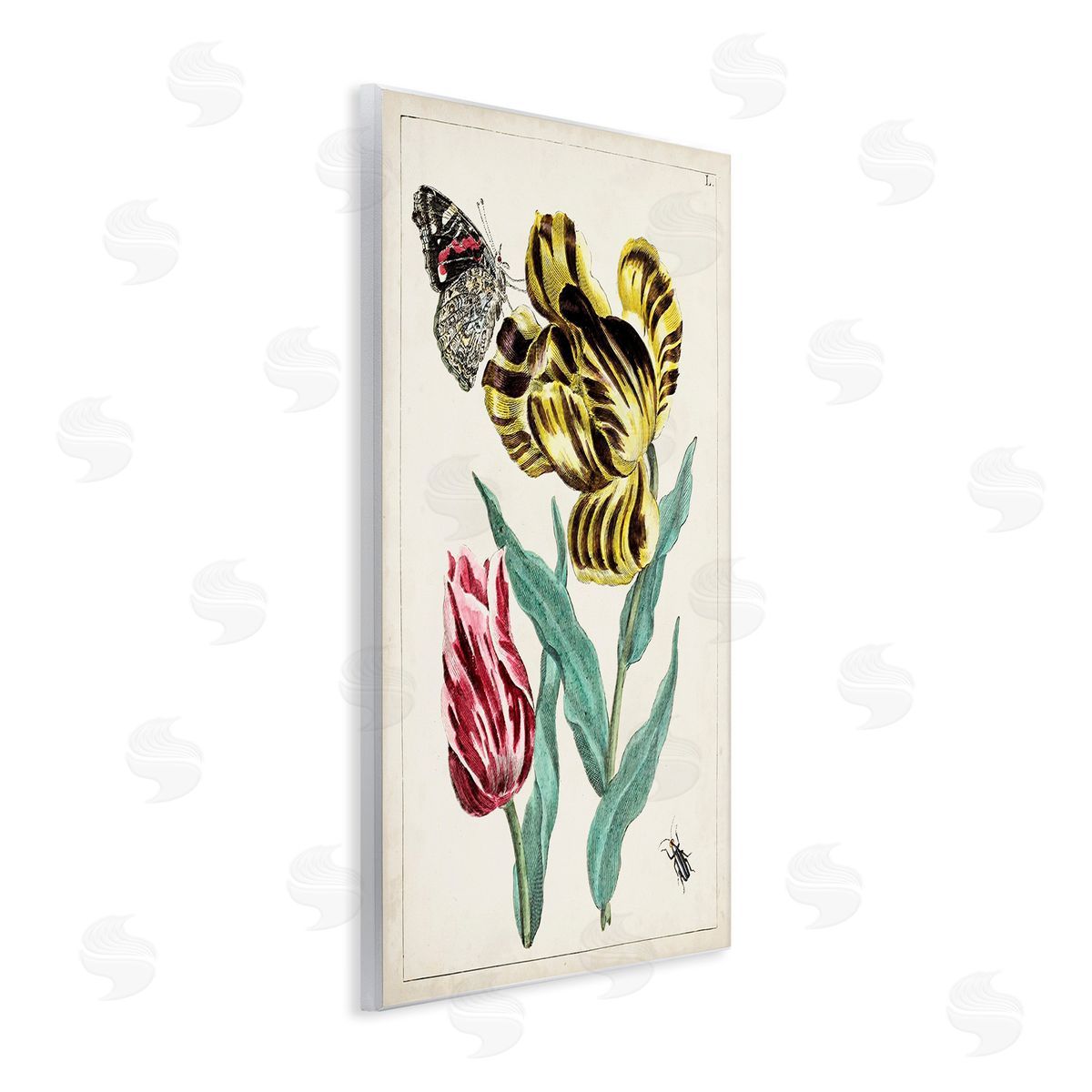 World Art Group Vintage Nature & Bugs Wooden Wall Plaque Art Print