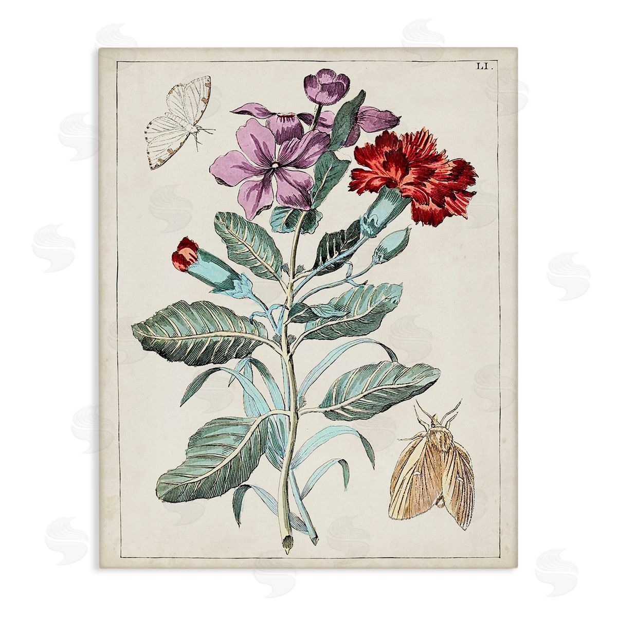 World Art Group Vintage Moths with Flowers Canvas Wall Art Print