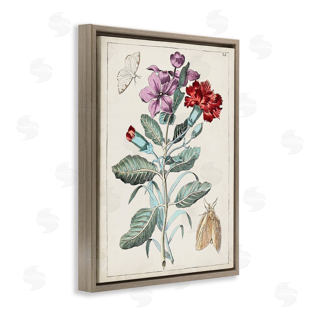 World Art Group Vintage Moths with Flowers Brown Floating Frame Canvas Wall Art Print