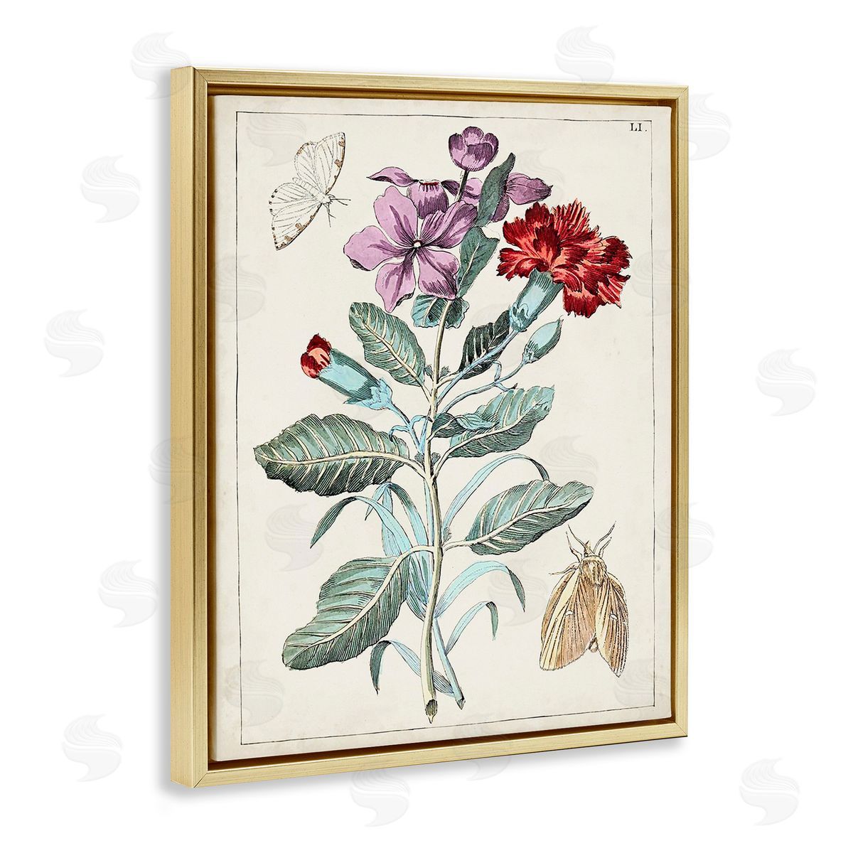 World Art Group Vintage Moths with Flowers Gold Floating Frame Canvas Wall Art Print
