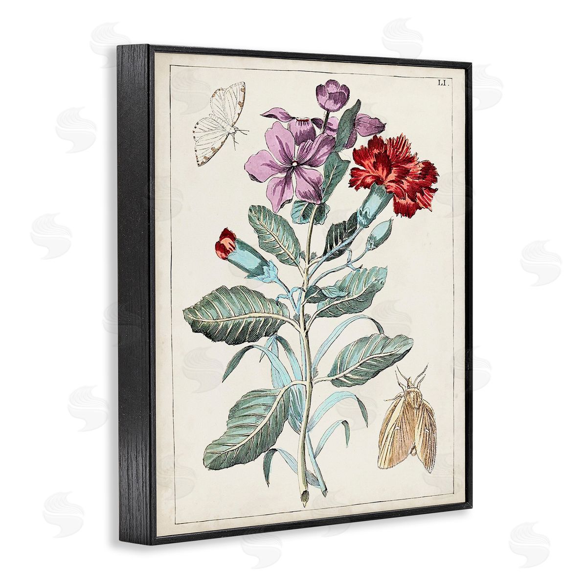 World Art Group Vintage Moths with Flowers Black Framed Giclee Wall Art Print