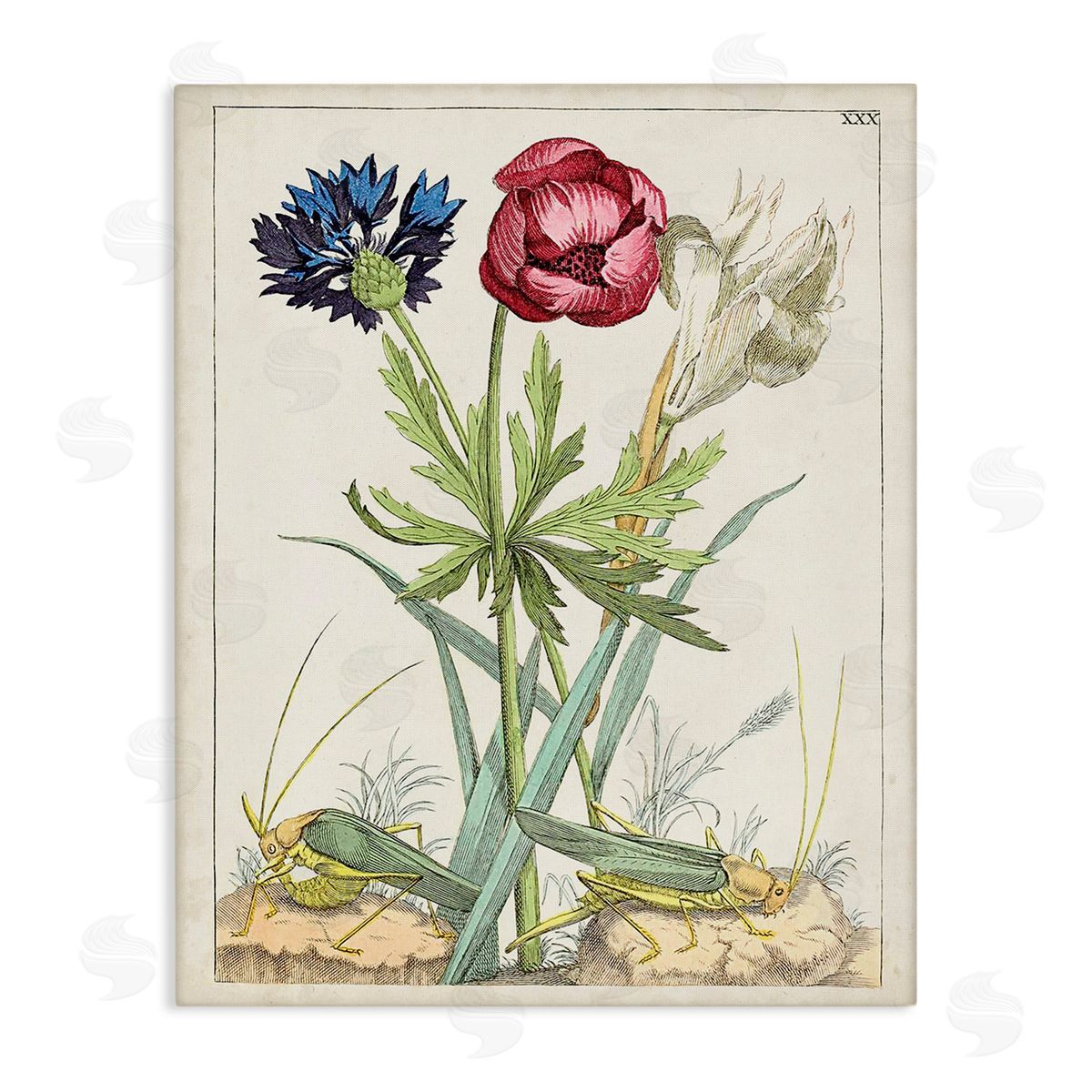 World Art Group Blooming Bulbs & Grasshoppers Canvas Wall Art Print