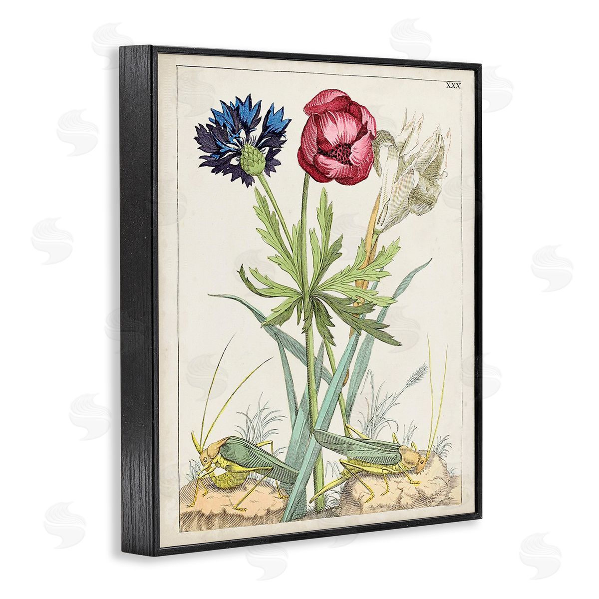 World Art Group Blooming Bulbs & Grasshoppers Black Framed Giclee Wall Art Print