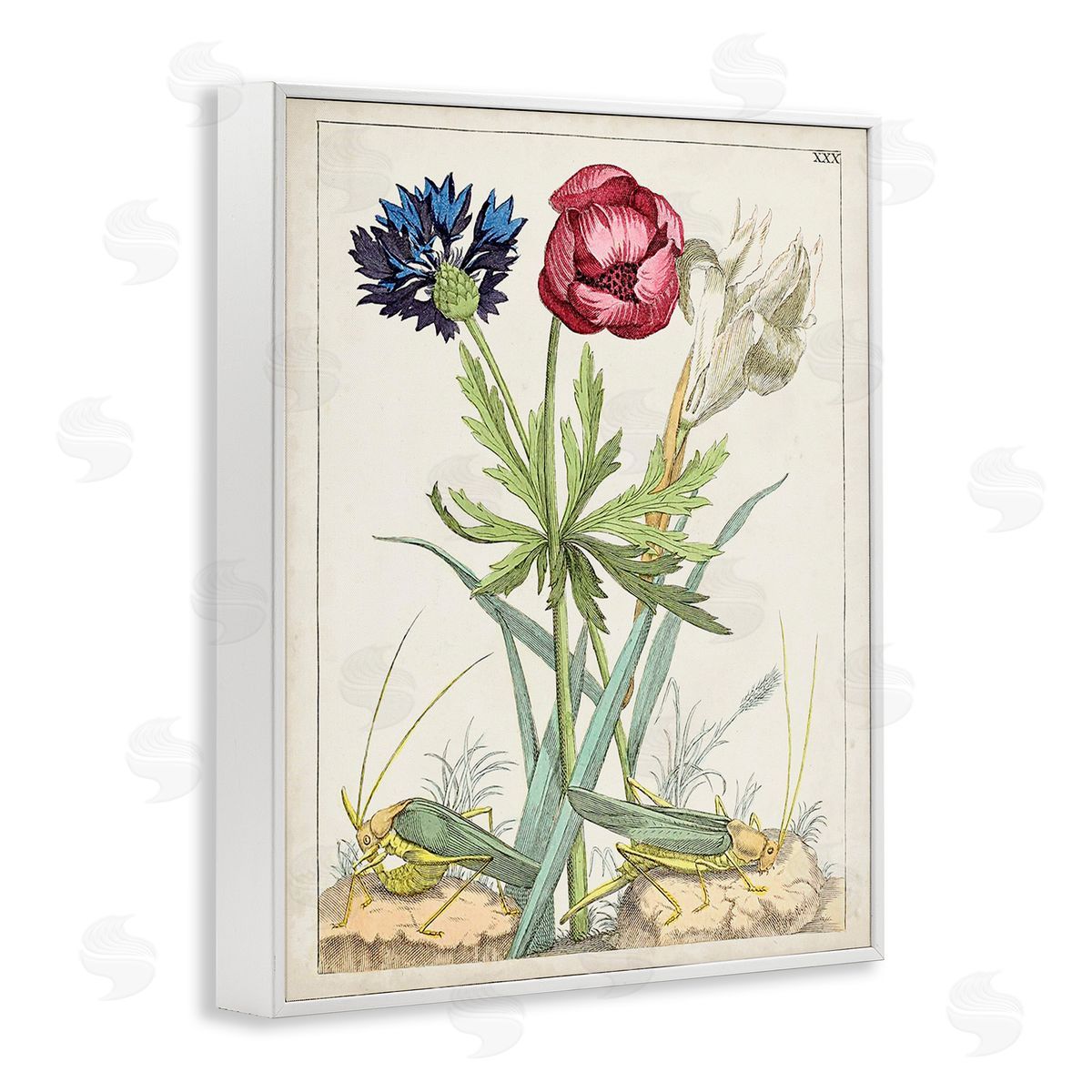 World Art Group Blooming Bulbs & Grasshoppers White Framed Giclee Wall Art Print