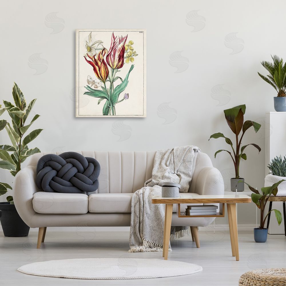 World Art Group Tulips & Moths Study Canvas Wall Art Print in Room