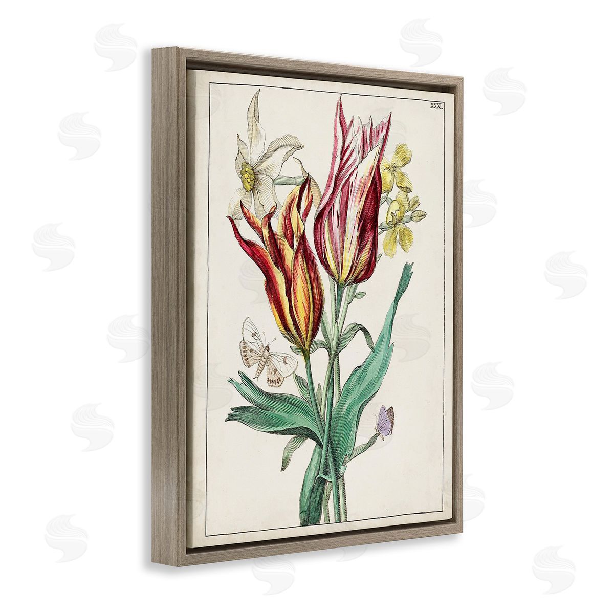 World Art Group Tulips & Moths Study Brown Floating Frame Canvas Wall Art Print