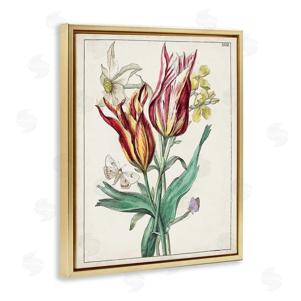 World Art Group Tulips & Moths Study Gold Floating Frame Canvas Wall Art Print