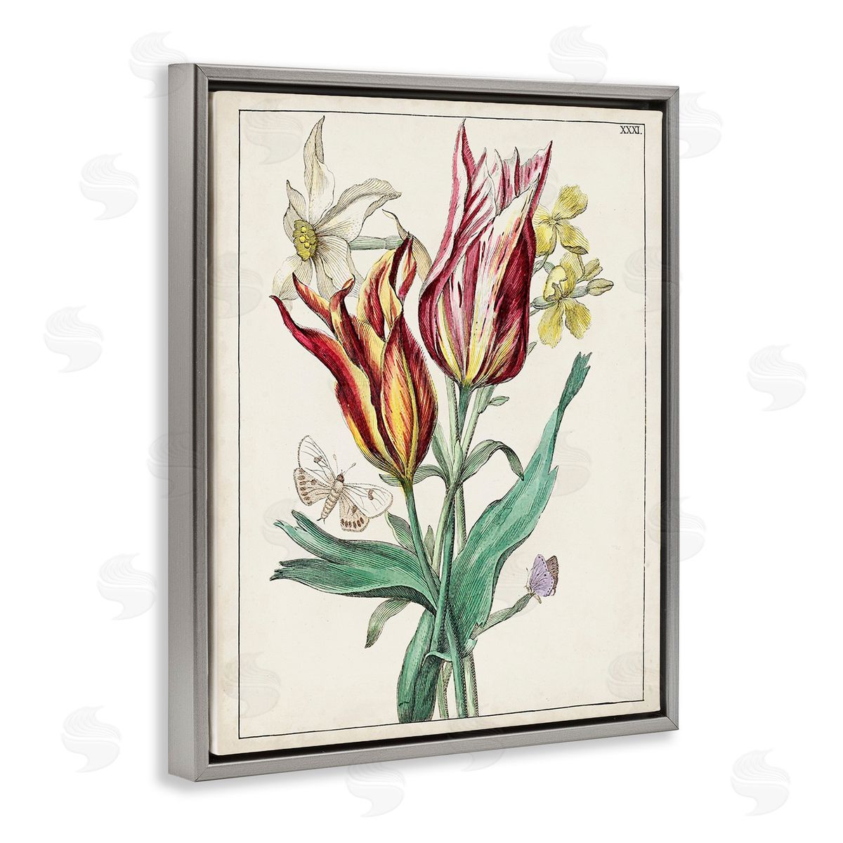 World Art Group Tulips & Moths Study Gray Floating Frame Canvas Wall Art Print