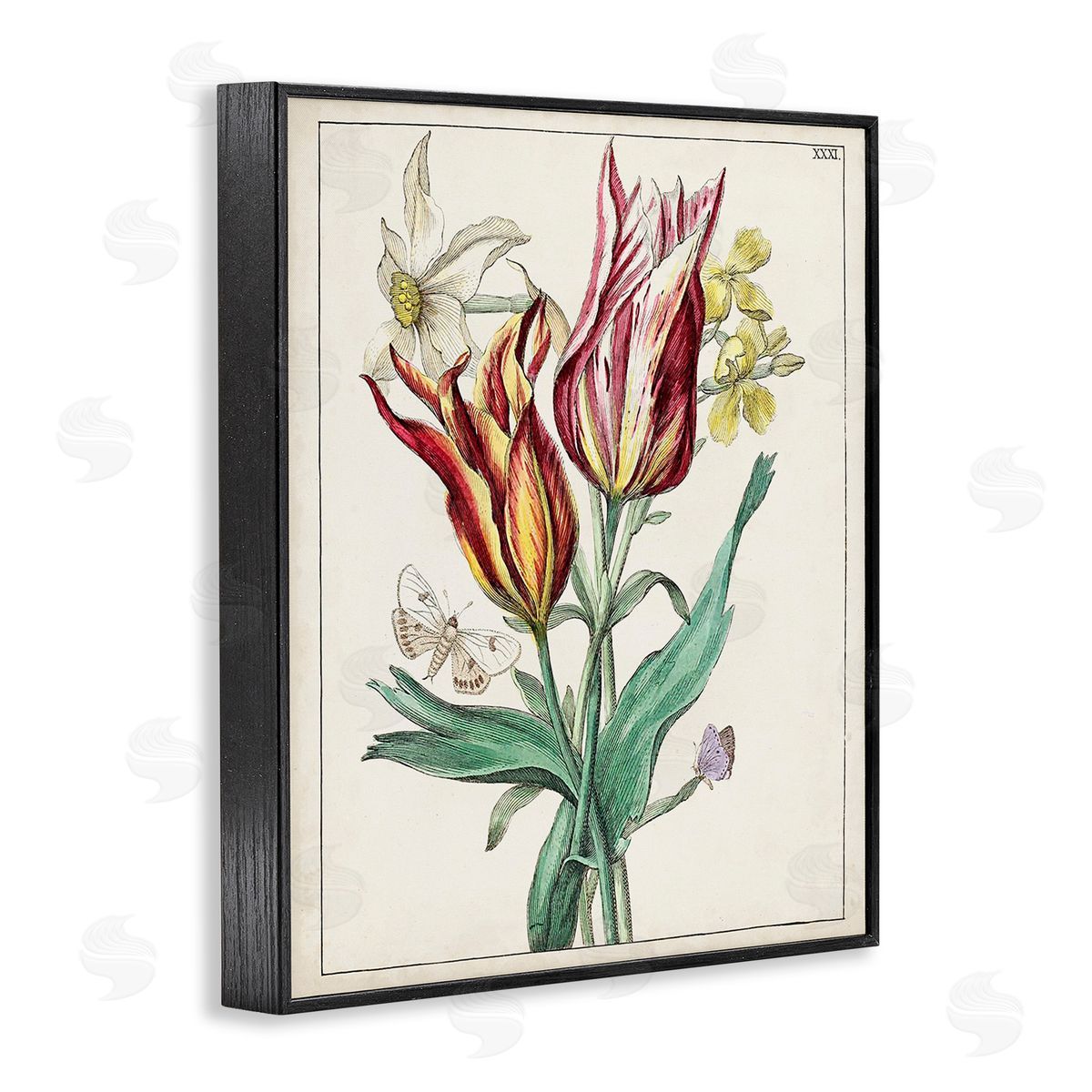 World Art Group Tulips & Moths Study Black Framed Giclee Wall Art Print