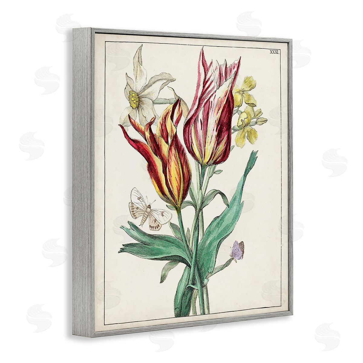 World Art Group Tulips & Moths Study Gray Framed Giclee Wall Art Print