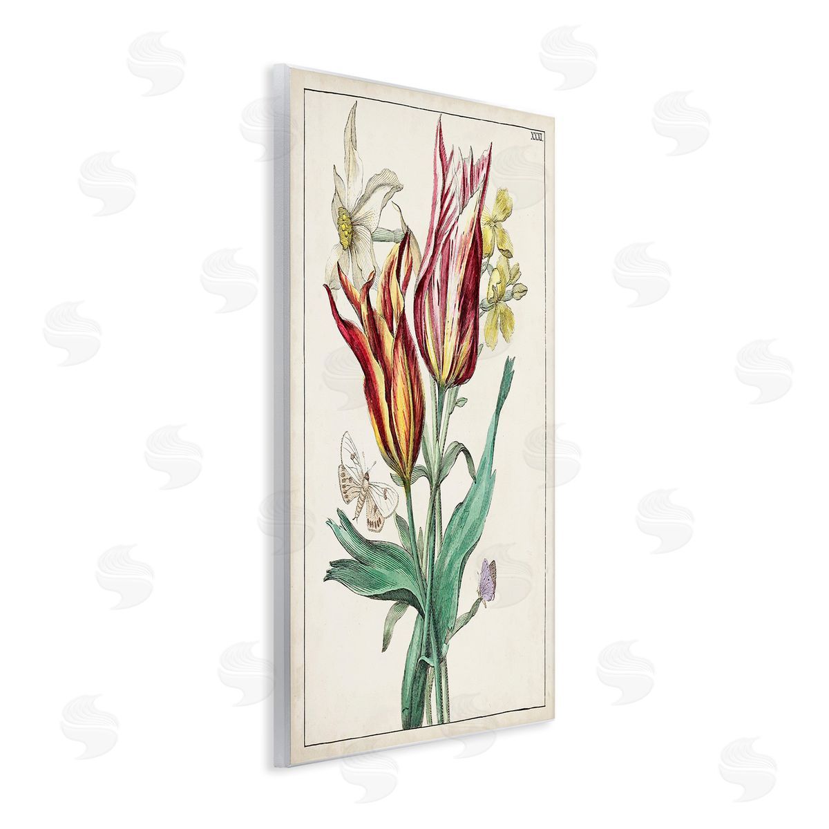World Art Group Tulips & Moths Study Wooden Wall Plaque Art Print