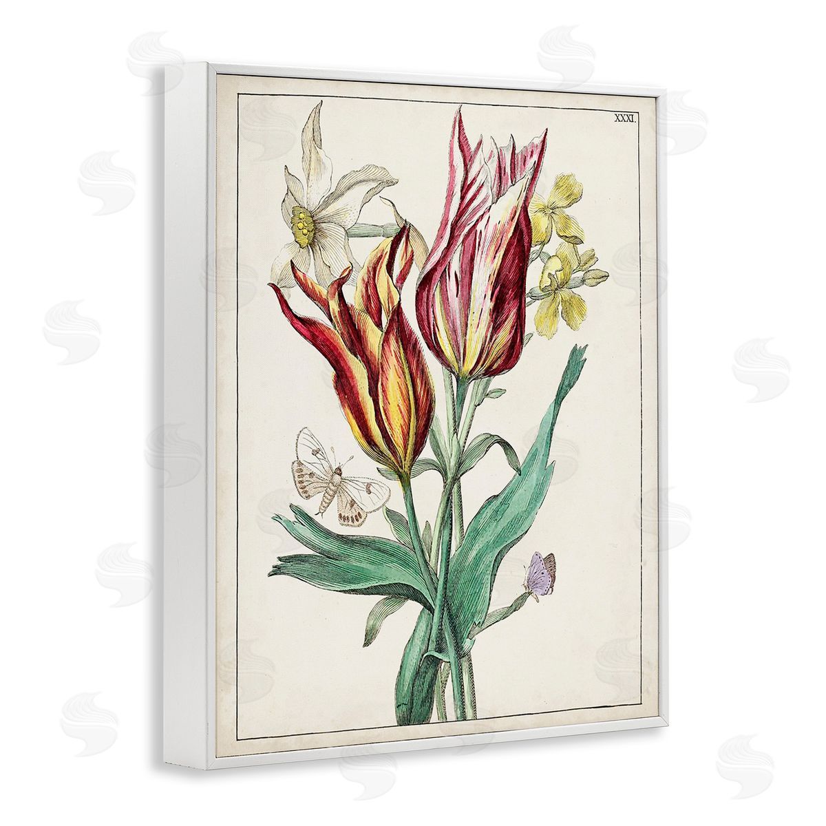 World Art Group Tulips & Moths Study White Framed Giclee Wall Art Print