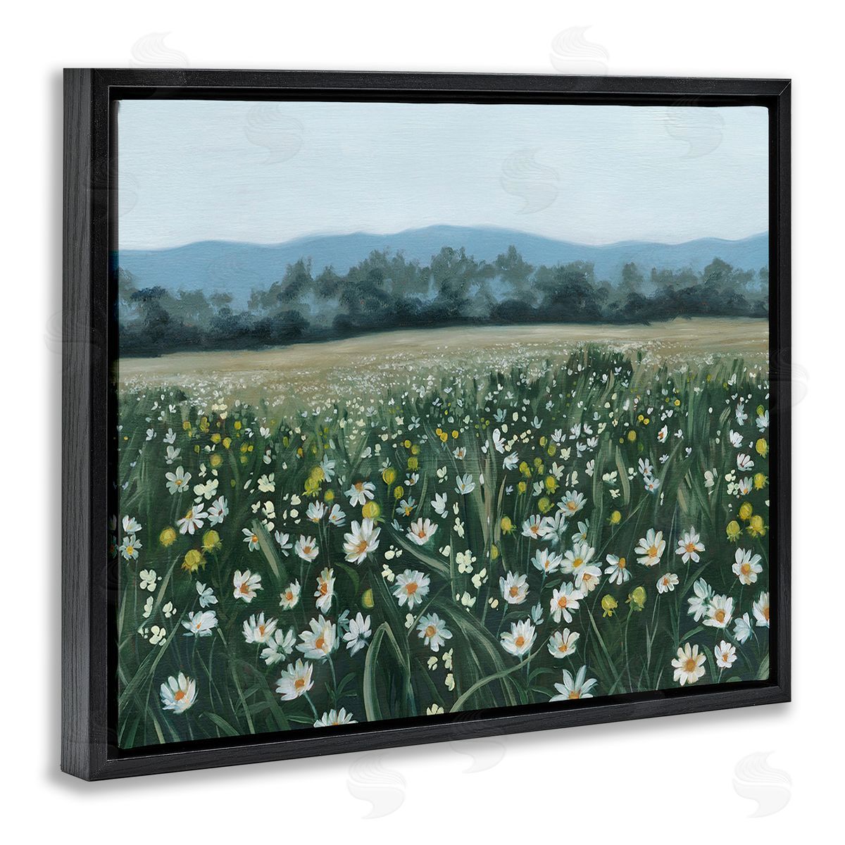 Grace Popp Traditional Daisy Meadow Black Floating Frame Canvas Wall Art Print