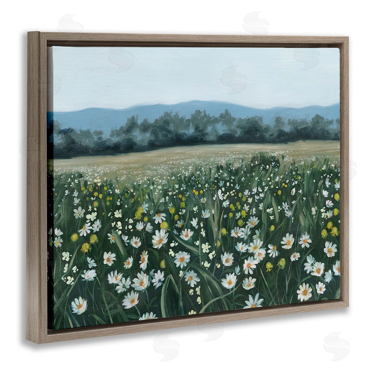 Grace Popp Traditional Daisy Meadow Brown Floating Frame Canvas Wall Art Print