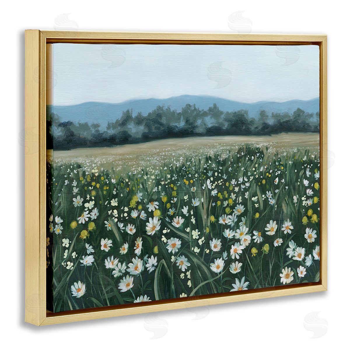 Grace Popp Traditional Daisy Meadow Gold Floating Frame Canvas Wall Art Print