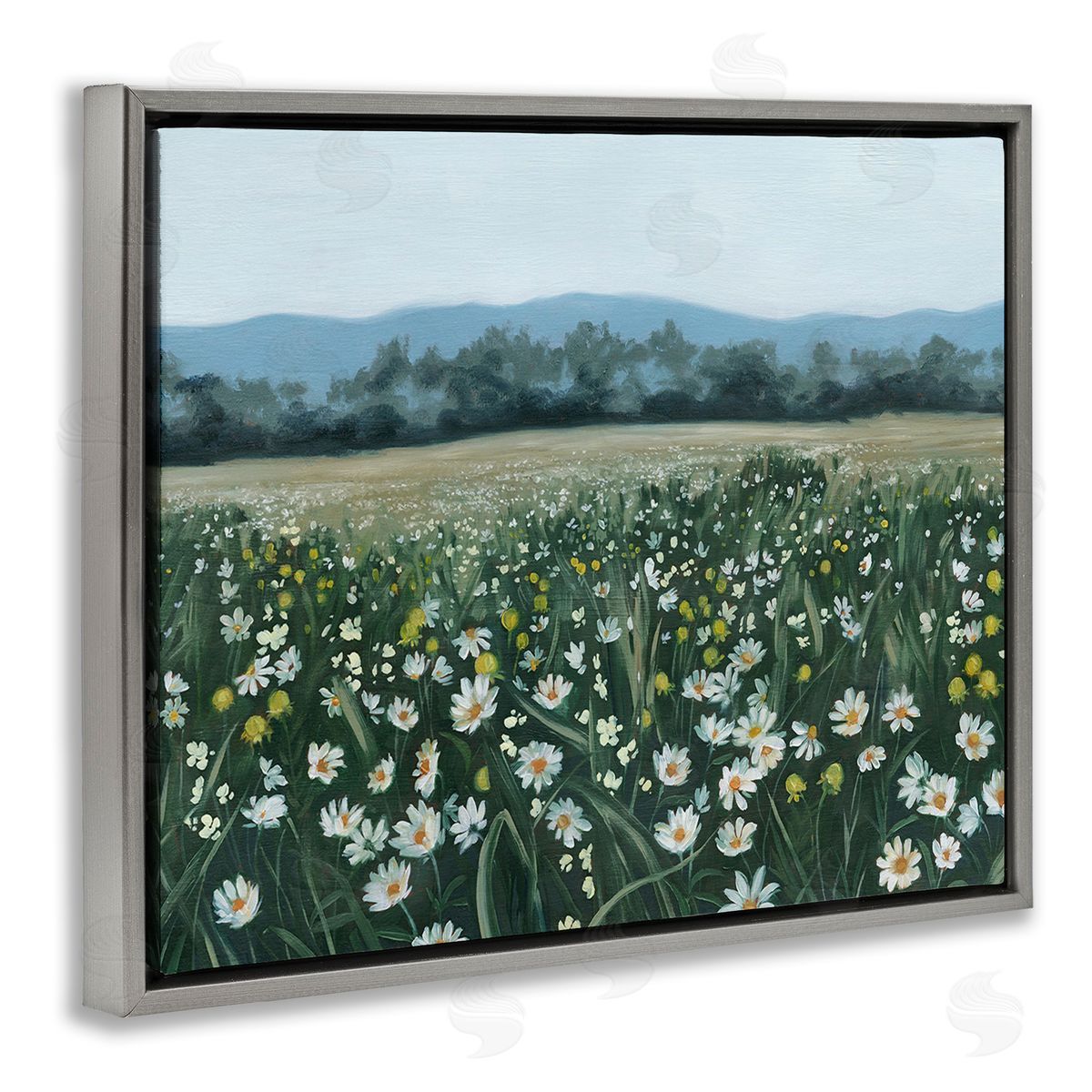 Grace Popp Traditional Daisy Meadow Gray Floating Frame Canvas Wall Art Print