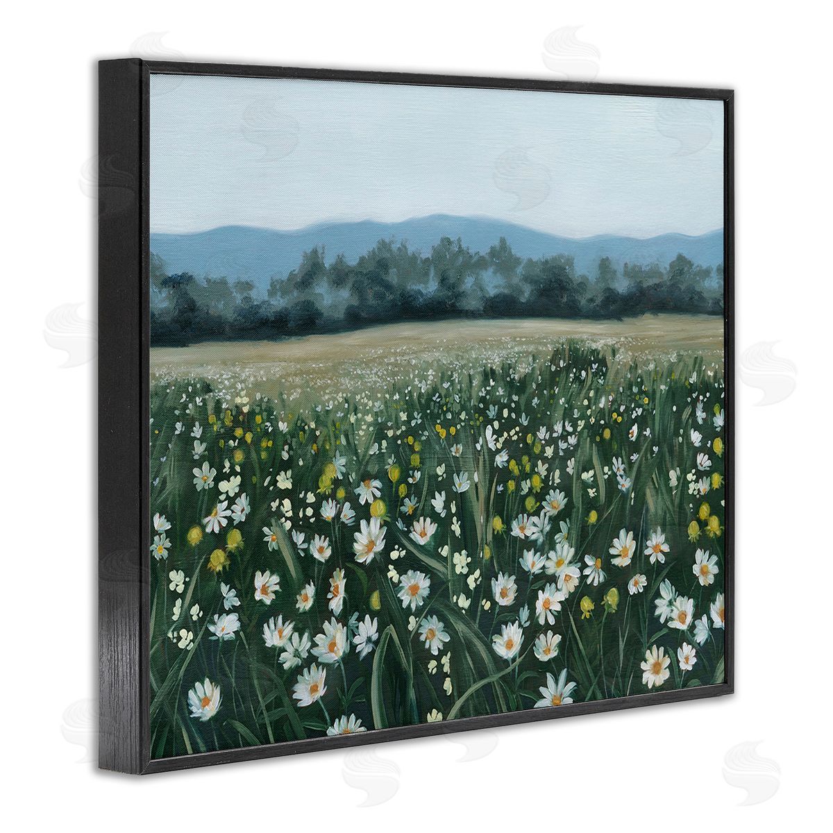 Grace Popp Traditional Daisy Meadow Black Framed Giclee Wall Art Print