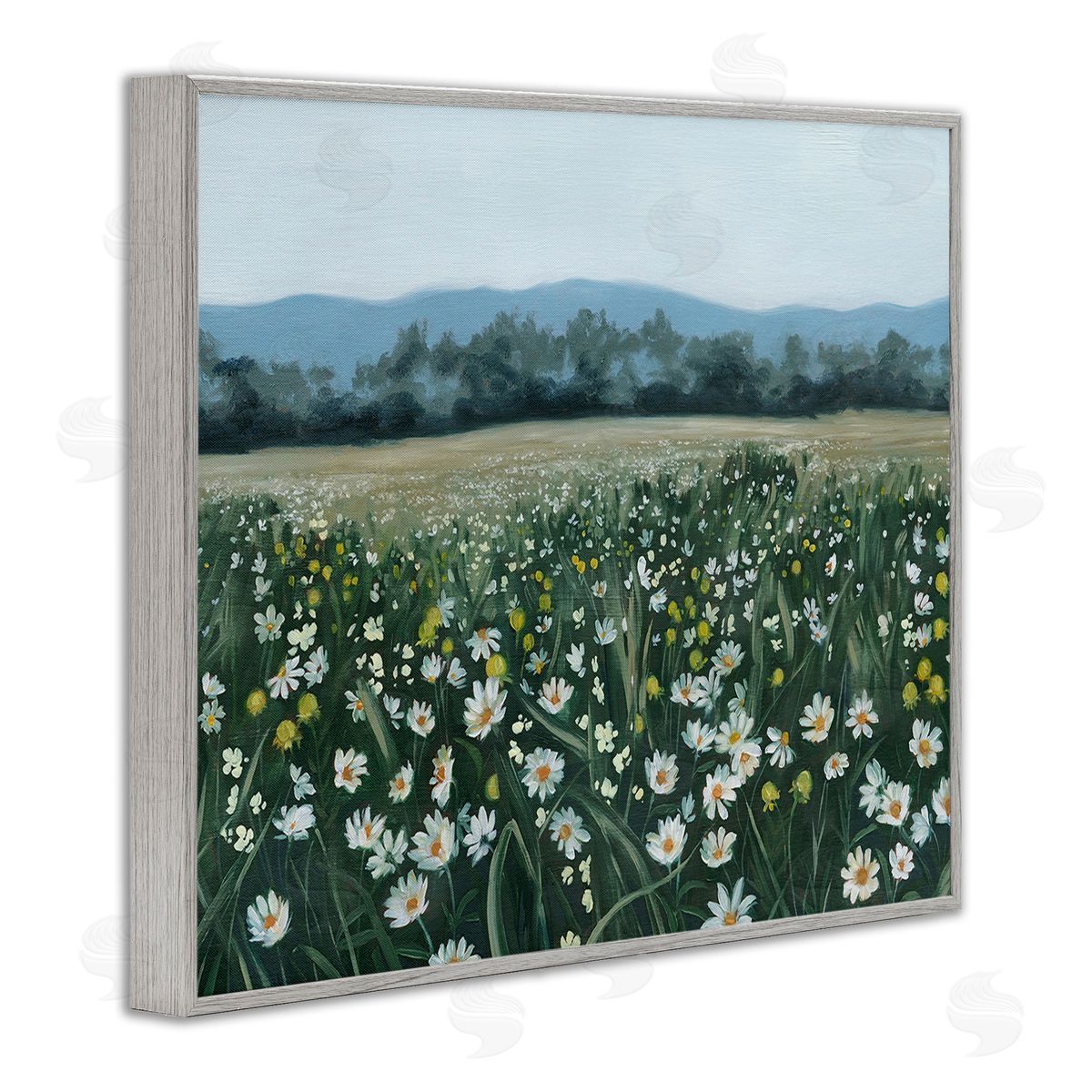 Grace Popp Traditional Daisy Meadow Gray Framed Giclee Wall Art Print