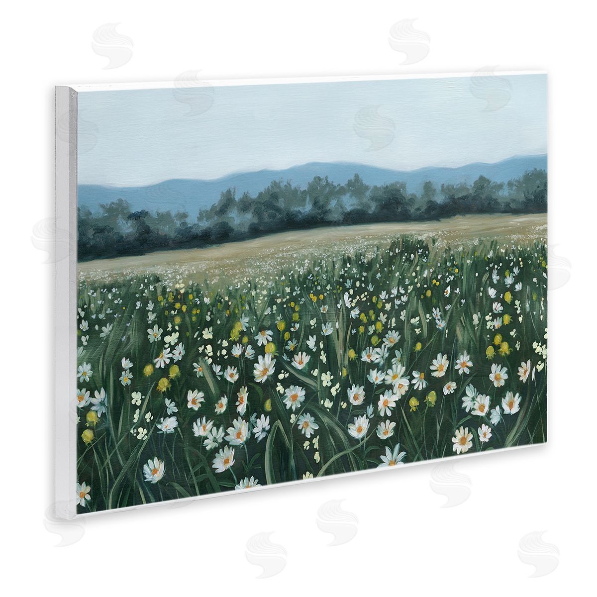 Grace Popp Traditional Daisy Meadow Wooden Wall Plaque Art Print