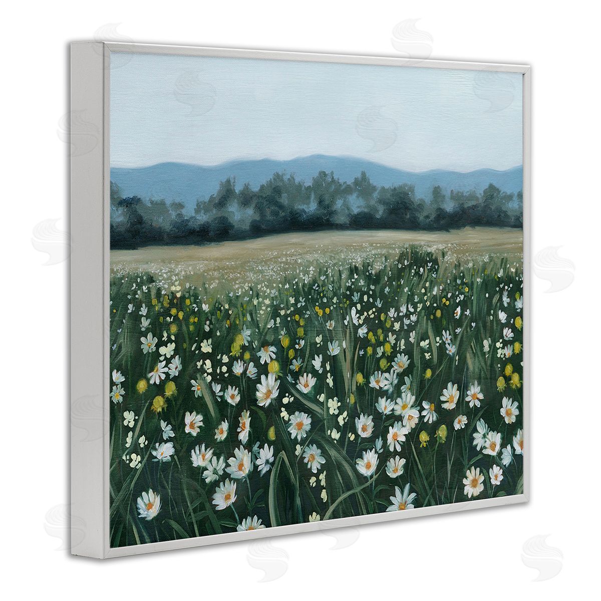 Grace Popp Traditional Daisy Meadow White Framed Giclee Wall Art Print