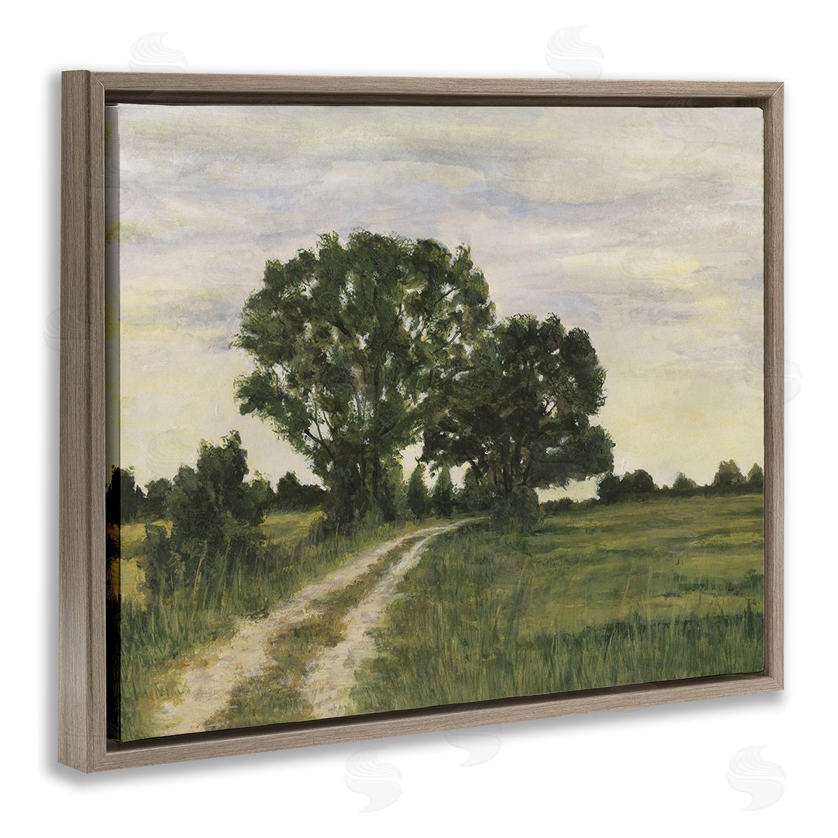 Michael Willett Trees on Country Road Brown Floating Frame Canvas Wall Art Print