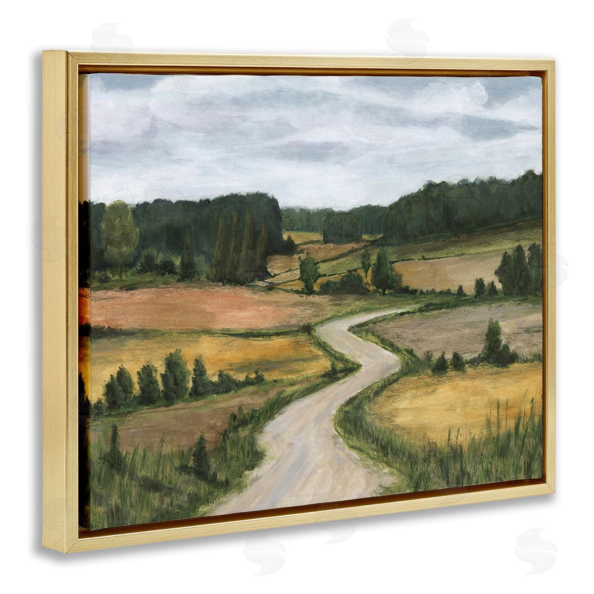 Michael Willett Waning Rural Rode Gold Floating Frame Canvas Wall Art Print