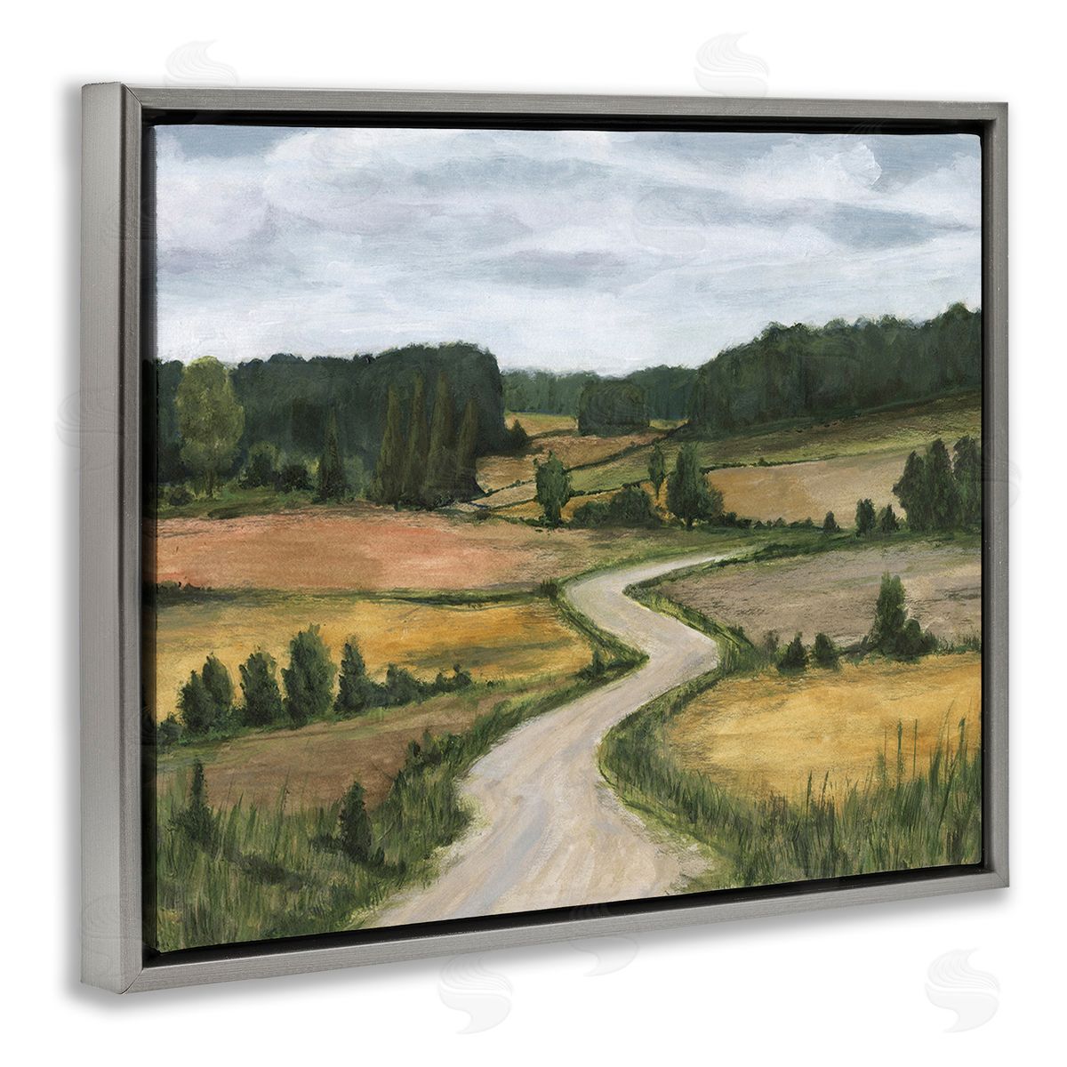 Michael Willett Waning Rural Rode Gray Floating Frame Canvas Wall Art Print
