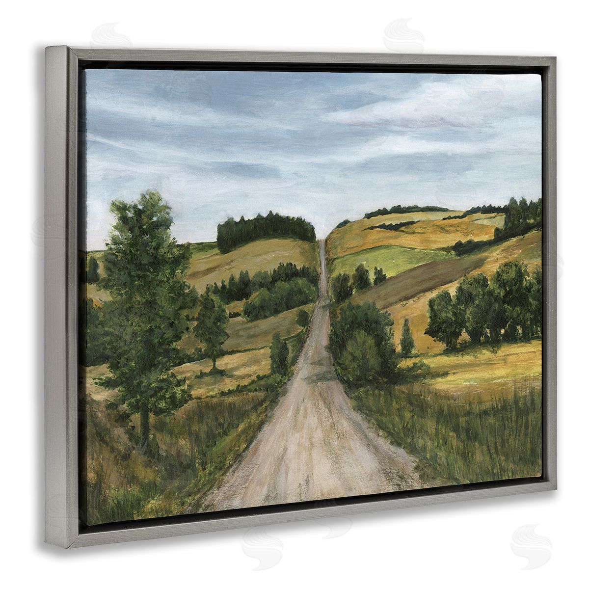 Michael Willett Receding Country Path Gray Floating Frame Canvas Wall Art Print