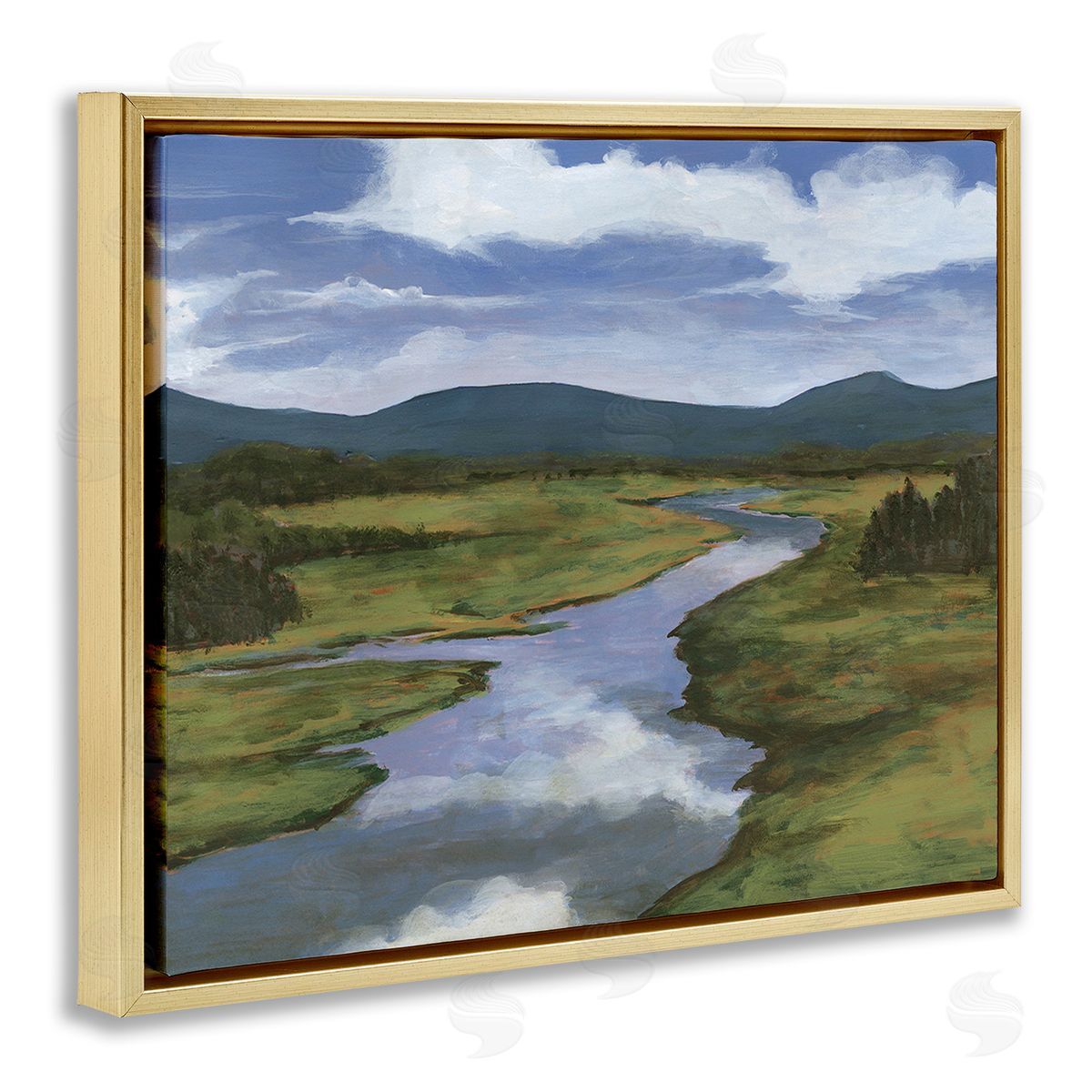 Michael Willett River with Cloud Reflection Gold Floating Frame Canvas Wall Art Print