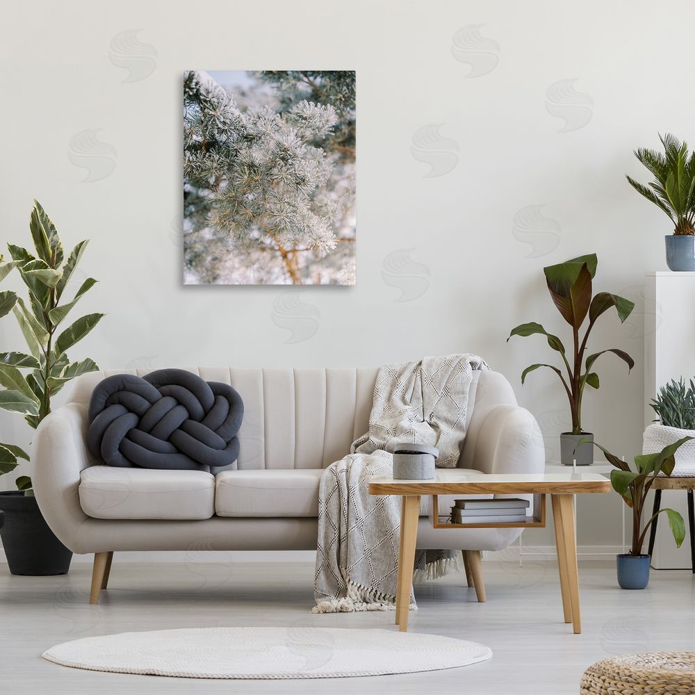 Justine Milton Frosted Fir Tree Branches Canvas Wall Art Print in Room